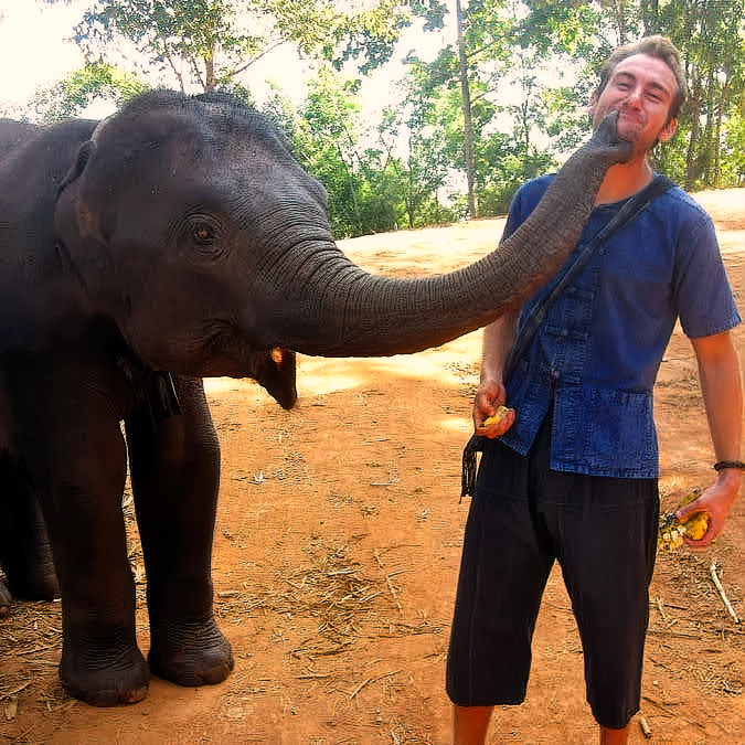 Kissed by an elephant